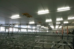 6-4-gestation barn