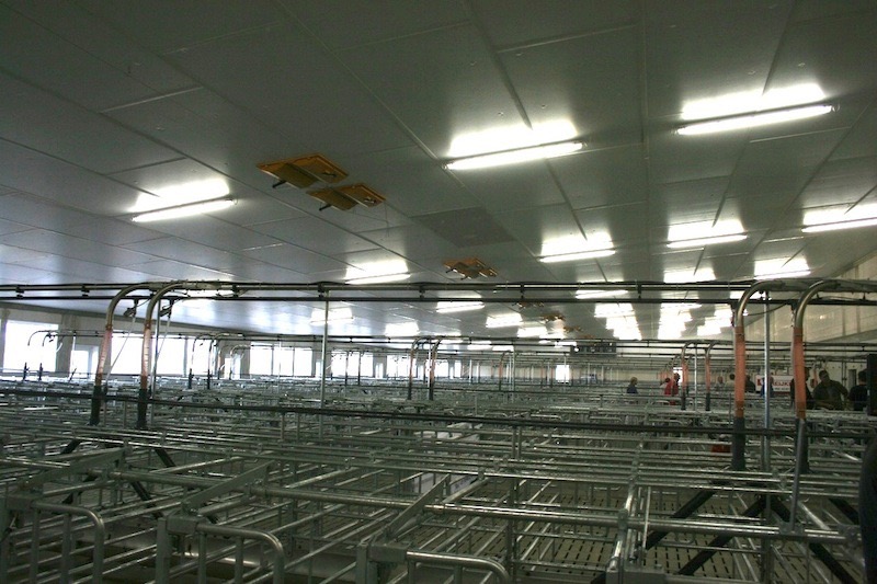 6-4-gestation barn