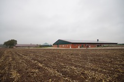 7-1-Timmerhuis filtered sow and weaner barn
