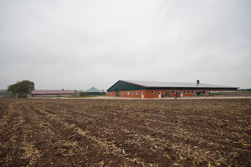 7-1-Timmerhuis filtered sow and weaner barn