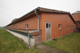 8-15-Schweinebesamungsstation.jpg