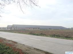 Clarcor - 164.jpg