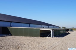 Clarcor - 166.jpg
