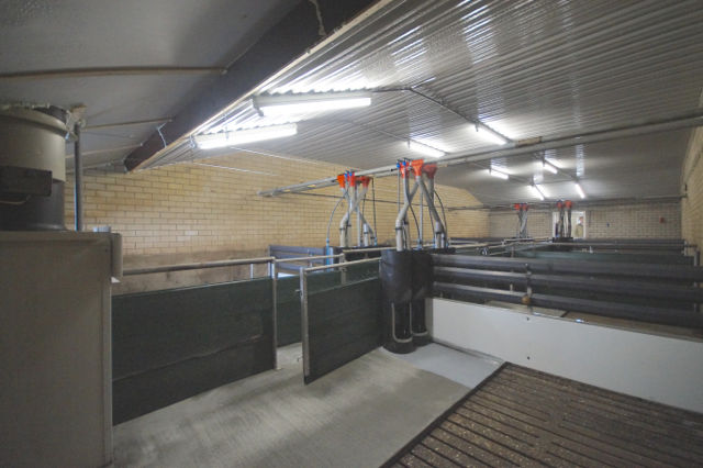 Clarcor Virus Filters Vevar - 31