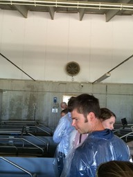 Dutch visitor part of EPP tour 4 to Benedetti farm